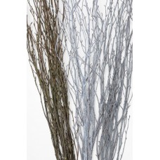 BIRCH BRANCHES 3'-4' White Wash